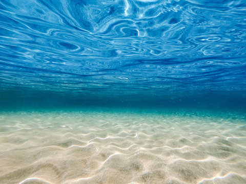 Underwater background with ocean water. At the bottom of the sea.