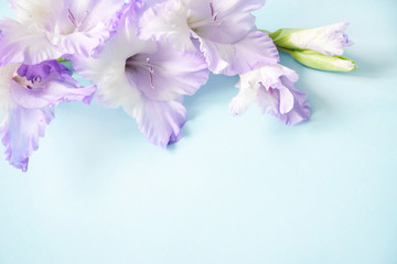Flat lay composition with delicate light purple gladiolus with copy space on a blue background. Closeup of purple gladiolus flowers, Space for text.