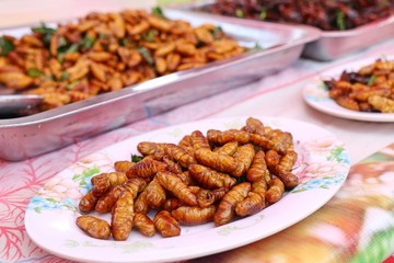 Fried insect at street food