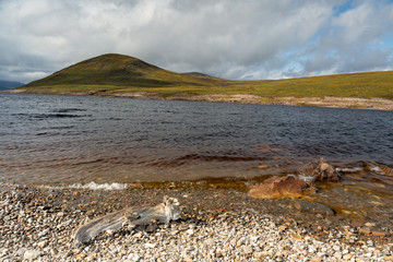 Low water level at Loch Glascarnoch in the Scotland