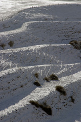 Winter snow in the Deverils area of Wiltshire