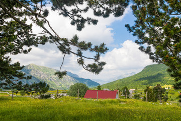 View of red house in Montenegro mountains with pine branches ( korita village )