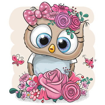  Owl with flowers on a white background