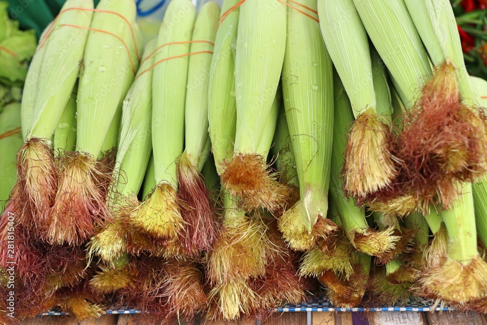 Sticker fresh corn at the market