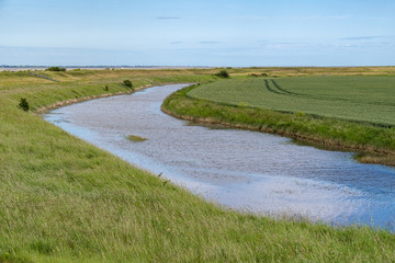 Water channels to the beach through coastal vegetation, Bradwell on Sea, Essex