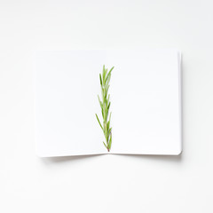 Blank notepad pages with rosemary twig