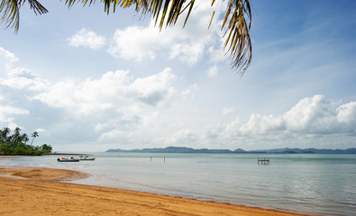 Fototapeta na wymiar Coconut trees and sea, beautiful natural scenery