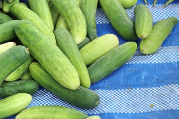 Fresh cucumber at street food