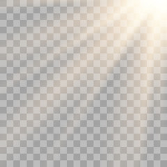 Vector transparent sunlight special