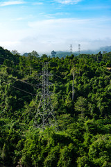 Fototapeta na wymiar Electricity pylons in green forest with morning mist