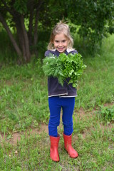 A little girl picked garden greens