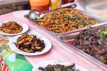 Fried insect at street food