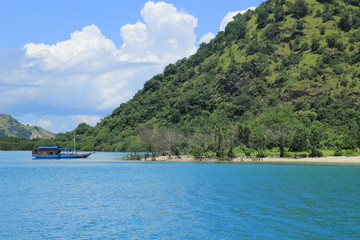 Waececu Beach