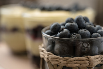 closeup of blueberries and tiramisu on the background
