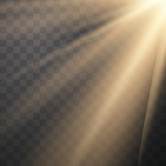 Vector transparent sunlight special