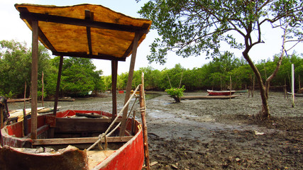 Recôncavo da Bahia