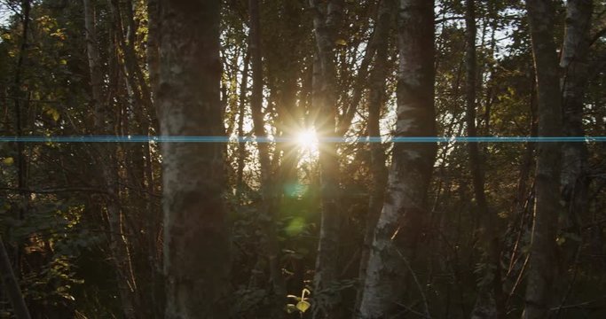 Anamorphic Sunset 1 - Footage is delivered in rec.709. Ready for color grade or LUT. Shot on the BMPCC 4K in 60fps 4K with Lumix 20mm 1.7 and SLR Magic Anamorphot 40 compact 1.33x