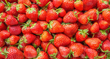 Fresh organic Strawberry fruit background Top view closeup