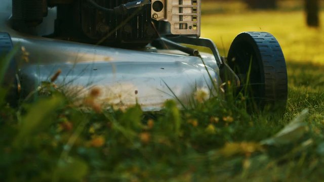Trimming extra grass weeds with a lawn mower, close up slow motion