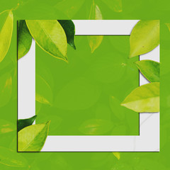 Tropical green leaf frame layout on green background copy space