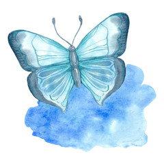 Beautiful watercolor flyer design with blue watercolour on colorful background for decoration design. Trendy texture. Elegance background. Watercolor abstraction. Blue butterflies