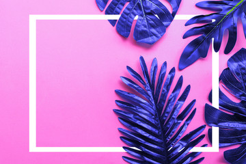 Tropical blue leaf on pink background