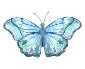 Watercolor illustration. Blue butterfly. Fantasy watercolour, great design for any purposes. Colorful fantasy wallpaper.