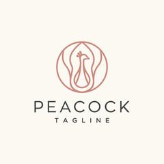 peacock line vector logo design