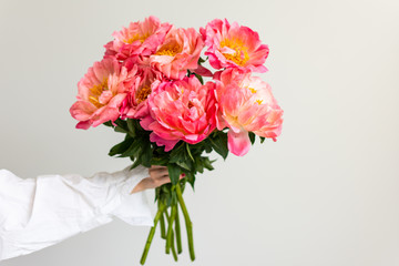 Bouquet of pink peonies in the hand of the girl on the background of a white wall close-up
