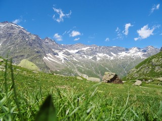 The Alps with its woods and glaciers near Monte Rosa and the town of Macugnaga, Italy - July 2019.