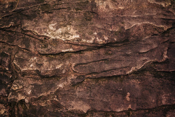Brown stone surface or stone texture as background