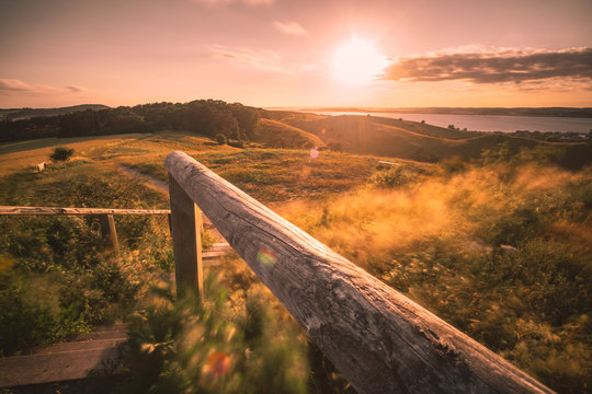 landscape and wildlife