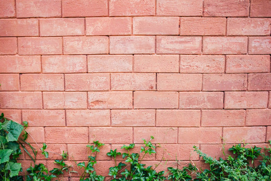 brick wall background old texture vintage bricks © nopphakorn