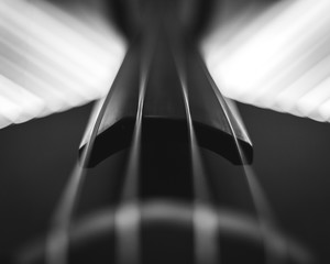 Black and White Jazz Bass