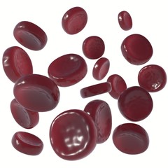Red Blood Cells