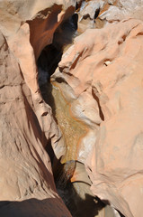 willis creek slot canyon in utah