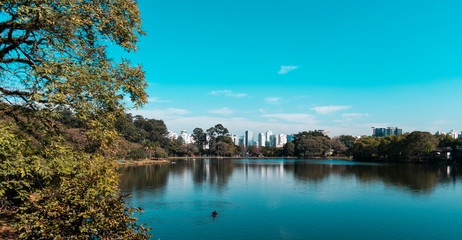 Obraz premium Ibirapuera Park, São Paulo - BRAZIL