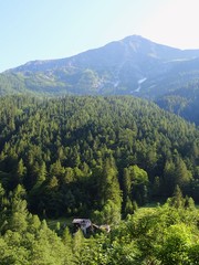 The Alps with its woods and glaciers near Monte Rosa and the town of Macugnaga, Italy - July 2019.