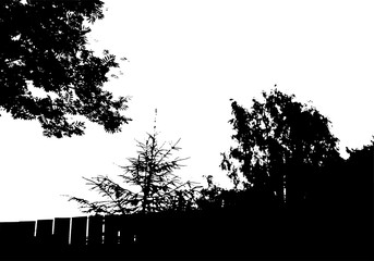 Black tree silhouette. Card with copy space. Isolated on white background. Vector nature illustration