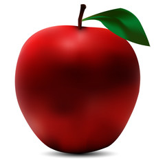 Vector from a red apple with leave