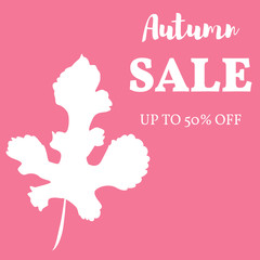 Vector illustration. autumn leaf with the inscription sale