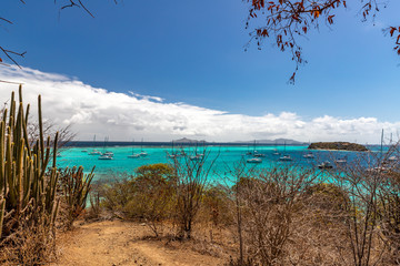 Saint Vincent and the Grenadines, Tobago Cays beach