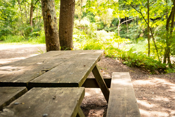 Picnic table at recreational campsite or picnic site in the woods.