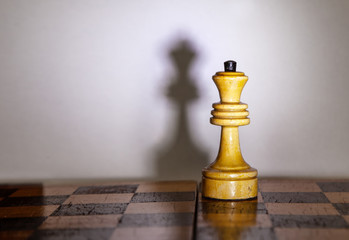 chess queen with the shadow on chessboard