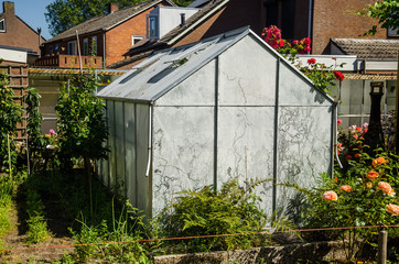 Greenhouses greenhouses glass seedlings of flowers and plants the nature of the greenery growing flora for planting