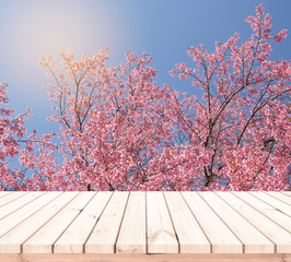 Wood desk or wood floor for product display with pink Sakura background