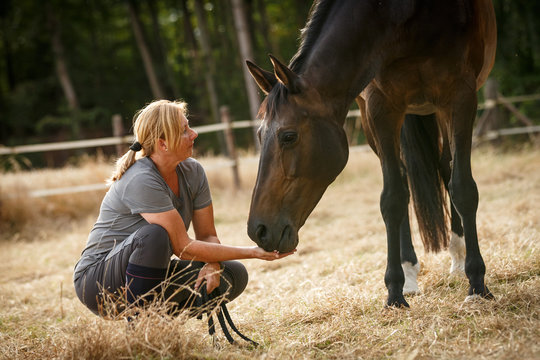 Frau mit Pferd auf der Weide
