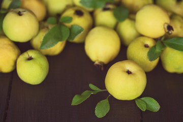 ripe fruit of Japanese quince on a wooden background close-up. background with yellow ripe quince fruits.