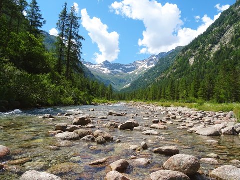 The view of the Alps of the Quarazza valley, near the town of Macugnaga, Italy - July 2019.
