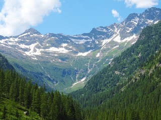 Fototapeta na wymiar The view of the Alps of the Quarazza valley, near the town of Macugnaga, Italy - July 2019.